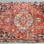 1029 1470 ORIENTAL RUG